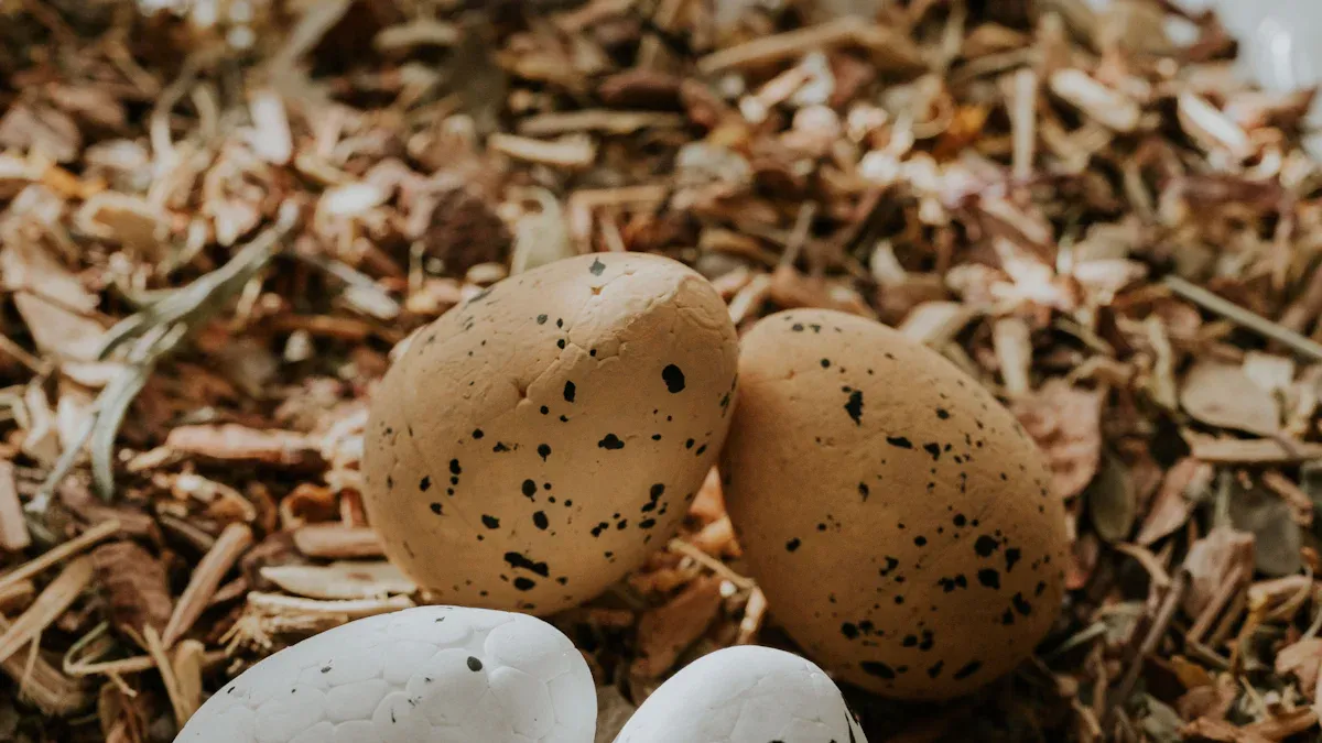 Bird Egg Identification Chart: 15 Common Eggs to Spot Instantly
