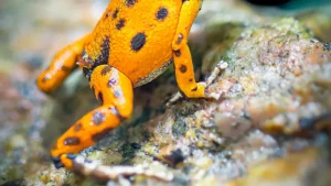 10 Things You Shouldn'
lazy