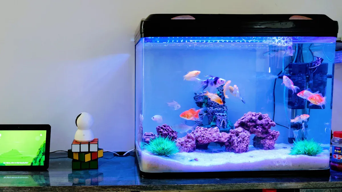 Setting Up Your First Aquarium