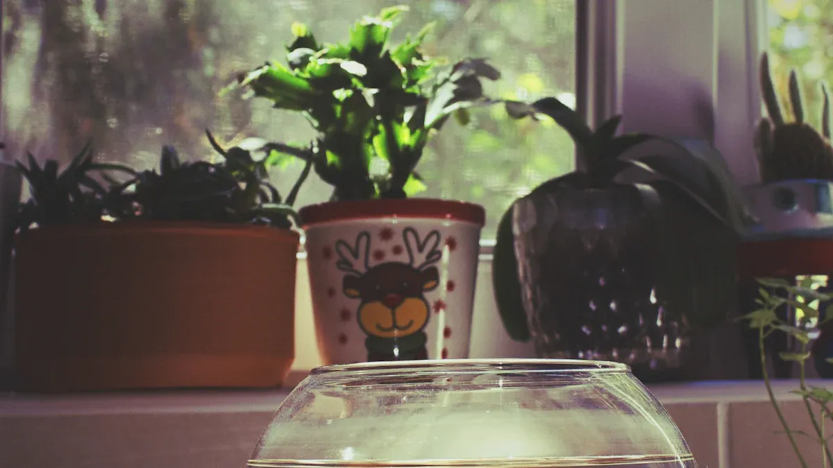 Essential Tips for New Aquarists