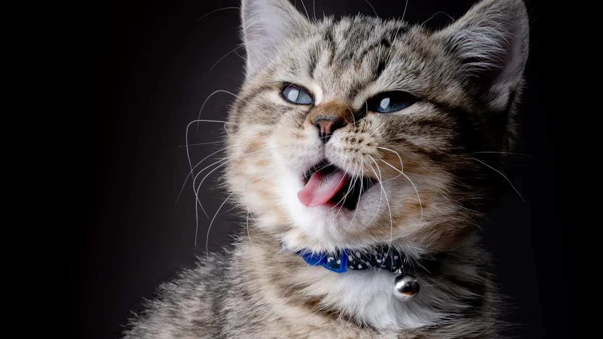Personality Traits: Understanding Cat Personalities