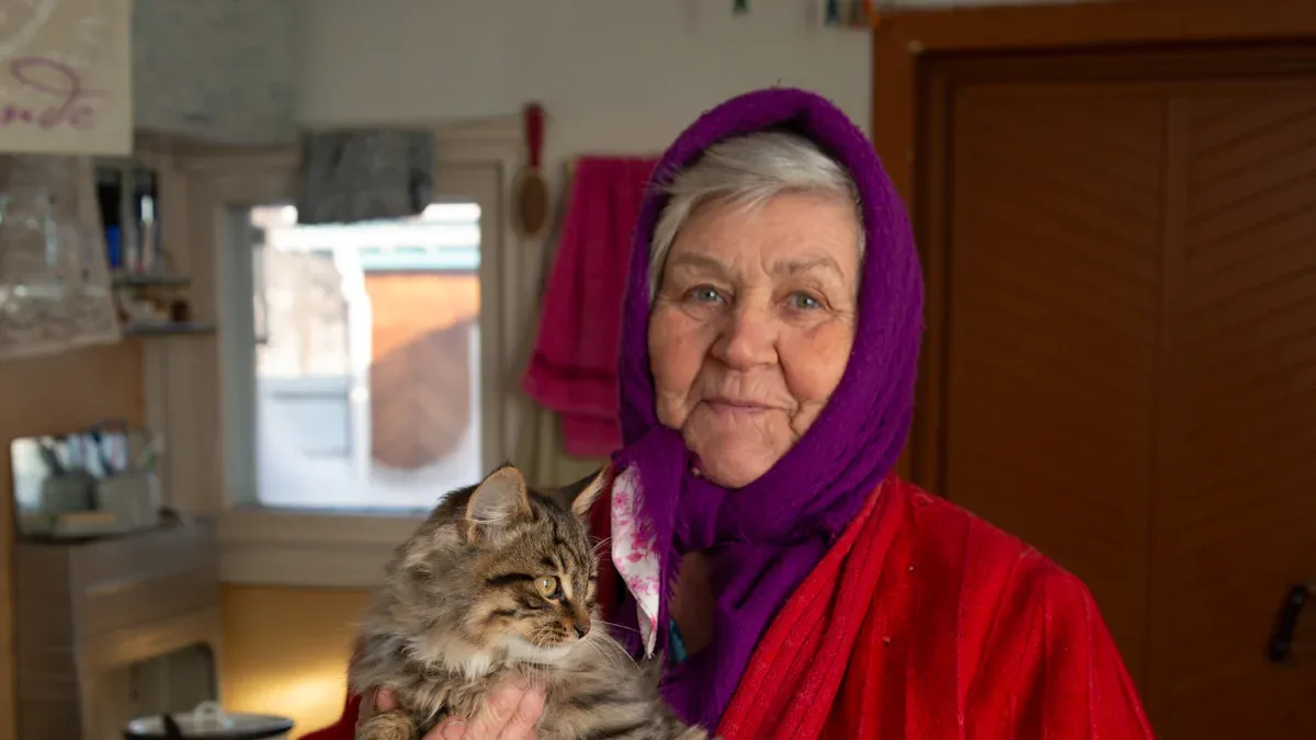 Cat Lifespan Overview