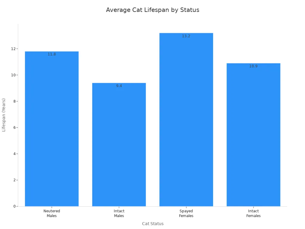 A bar chart showing the average lifespan of cats based on their neutering or spaying status. Neutered males live 11.8 years, intact males 9.4 years, spayed females 13.2 years, and intact females 10.9 years.