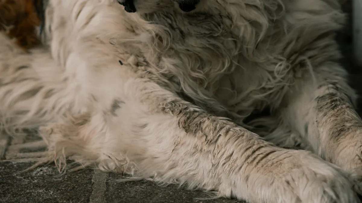 15 Gentle Giant Large Dog Breeds for Your Family