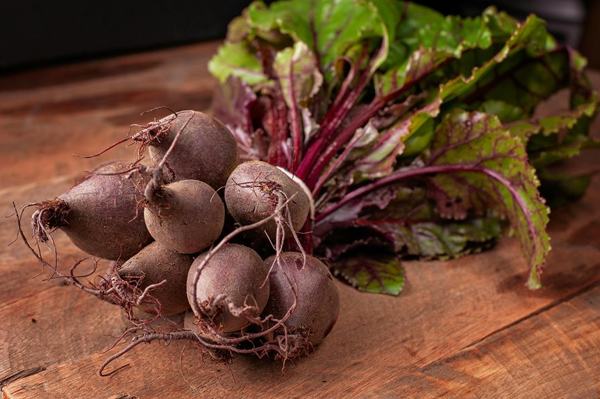 dogs and beetroot benefits