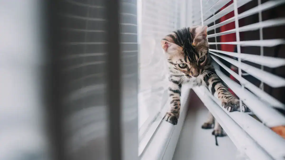 Bengal Cat Cons: Challenges and More Facts
