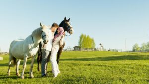 factors affecting horse lifespan